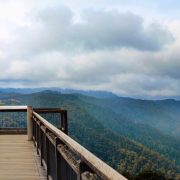 pano_dorrigo2