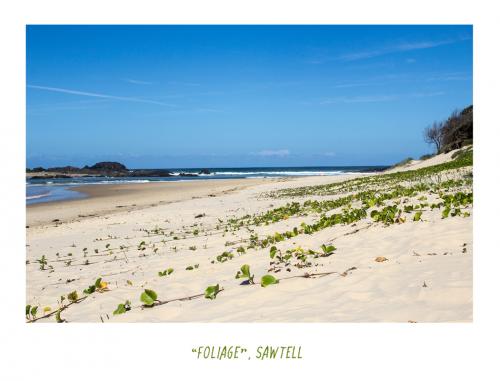 Sawtell Beach