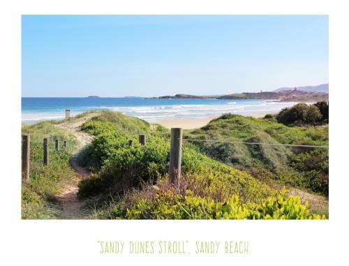 Sandy Beach Dunes