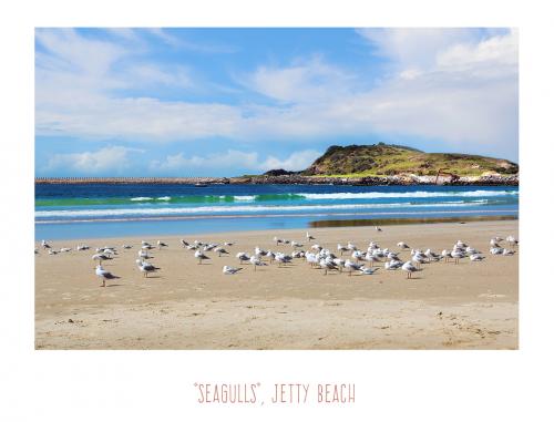 Seagulls at Jetty Beach Coffs Harbour